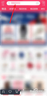 唯品会可以用花呗支付吗为啥我的不行