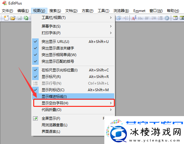 Editplus怎么显示空白字符