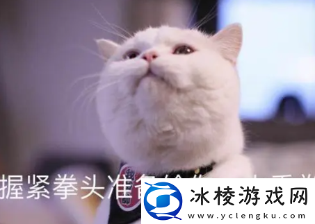 那马户又鸟梗的来源和含义：世界探险路线推荐