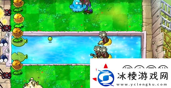 植物大战僵尸杂交版泳池防守第五关怎么过植物大战僵尸杂交版泳池防守第5关攻略