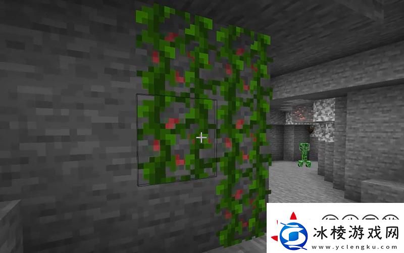 我的世界藤蔓全攻略-解锁多样用途与采集技巧