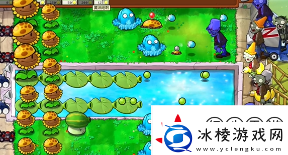 植物大战僵尸杂交版泳池防守第五关怎么过植物大战僵尸杂交版泳池防守第5关攻略