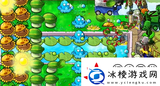 植物大战僵尸杂交版泳池防守第五关怎么过植物大战僵尸杂交版泳池防守第5关攻略