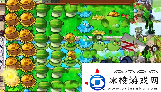 植物大战僵尸杂交版泳池防守第五关怎么过植物大战僵尸杂交版泳池防守第5关攻略