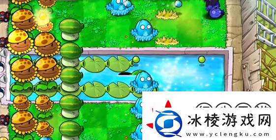 植物大战僵尸杂交版泳池防守第五关怎么过植物大战僵尸杂交版泳池防守第5关攻略
