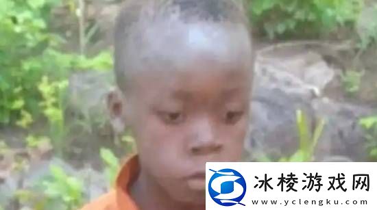 非洲8岁男孩在野生动物园独自生存5天-园内狮子成群