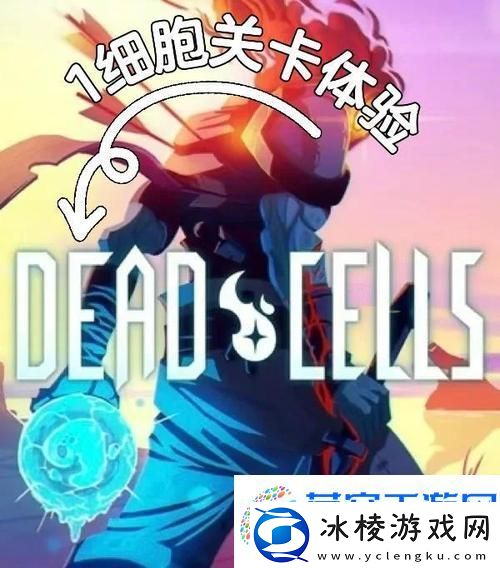 重生细胞导入别人的云存档全解析