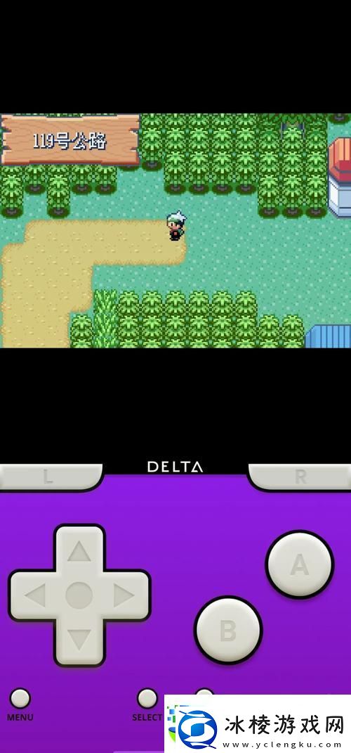 口袋妖怪究极绿宝石4