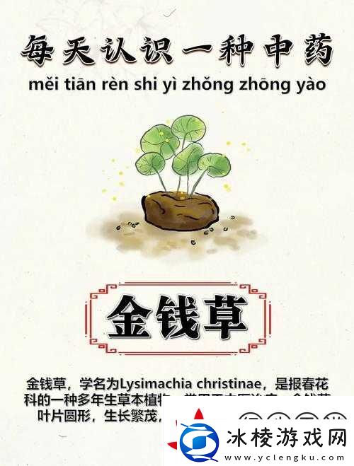 怀旧服草药暴富清单！这5种草药价格屠榜-爆买不亏！