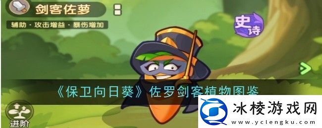 保卫向日葵佐罗剑客植物怎么样植物图鉴