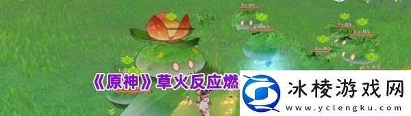 原神草火反应燃烧效果跟什么有关怎么触发的原神草火反应燃烧效果介绍一览