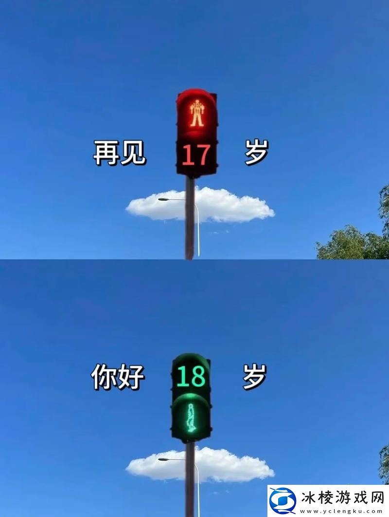 已满十八岁准备好从此转入：迈向人生新篇章