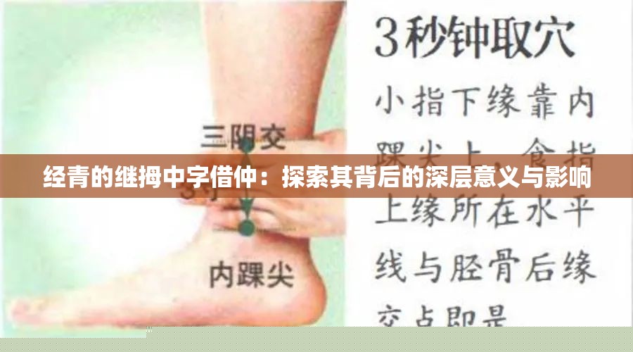 经青继拇中字借仲：探索其深层意义与影响