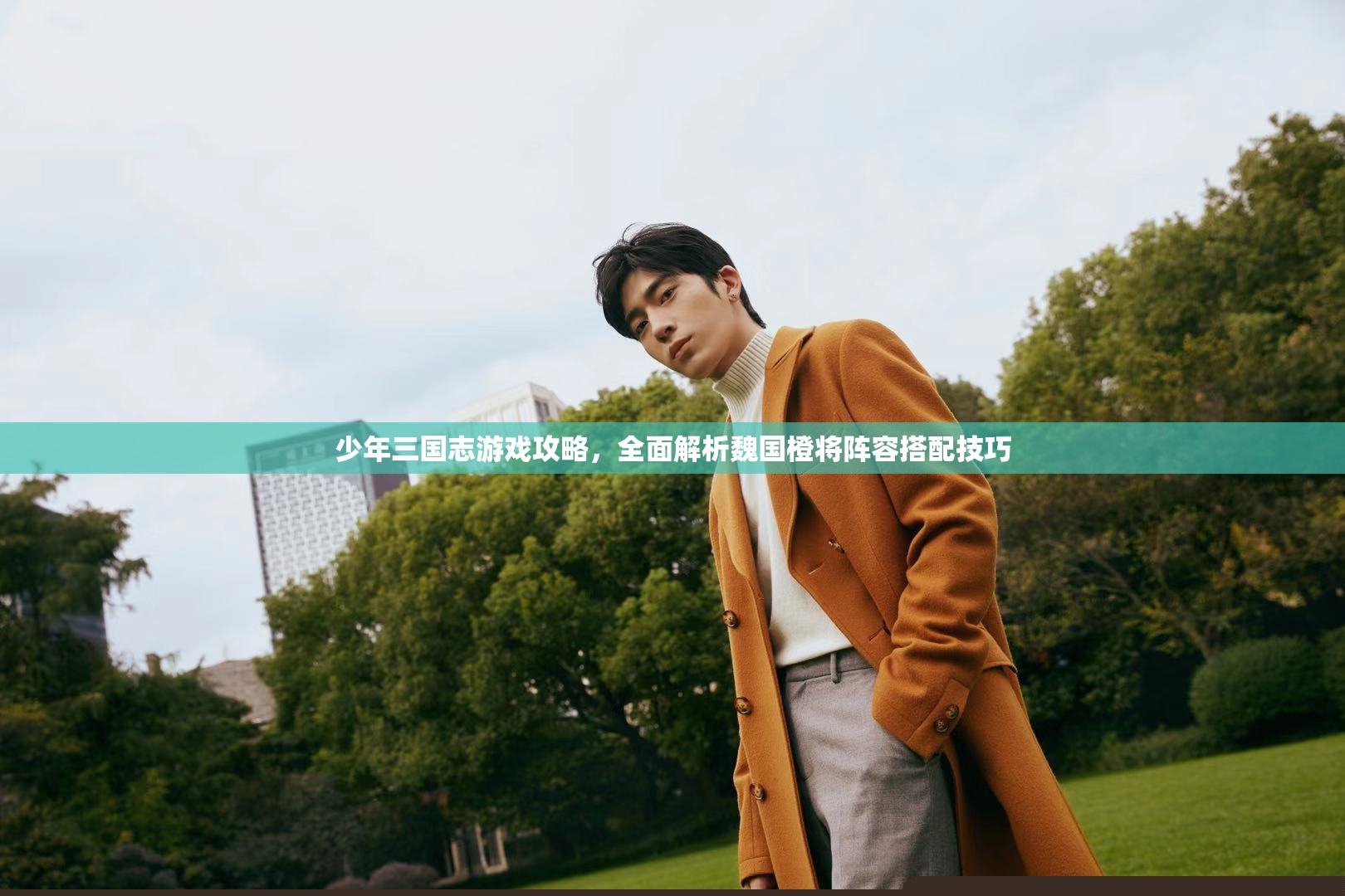 少年三国志攻略：魏国橙将阵容搭配与技巧全面解析