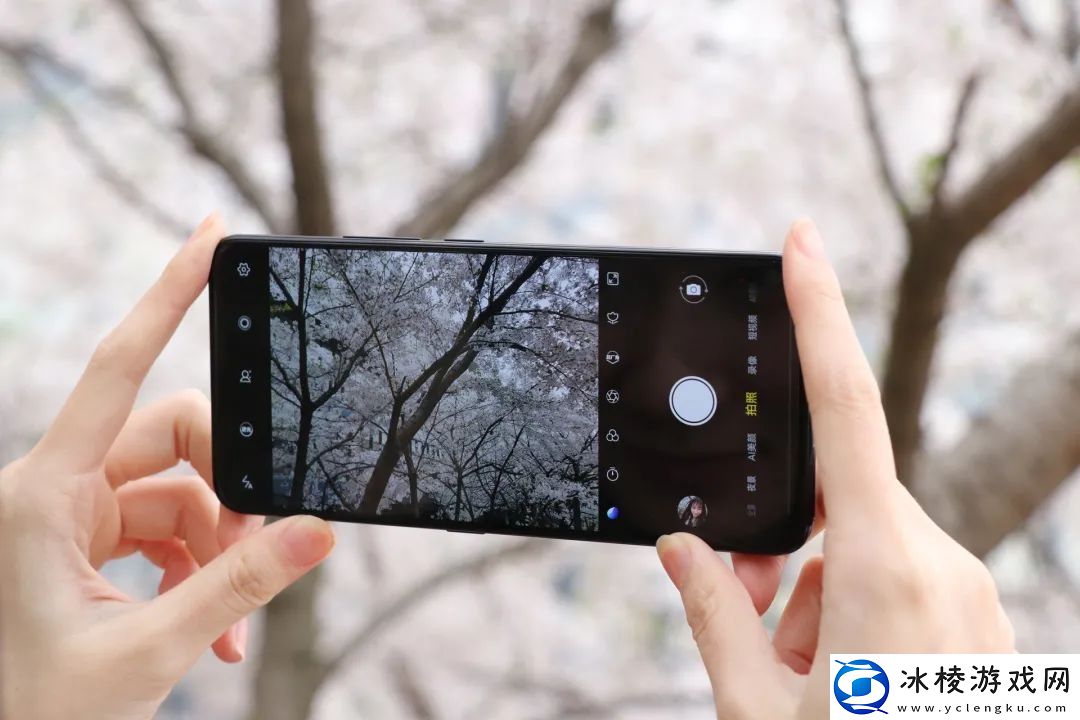 西瓜视频免费追剧