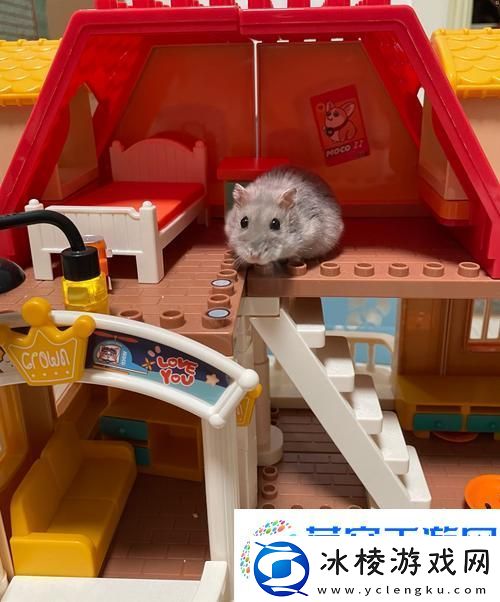 我给仓鼠盖别墅2-打造你的温馨萌宠乐园