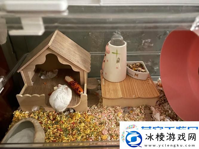 我给仓鼠盖别墅2