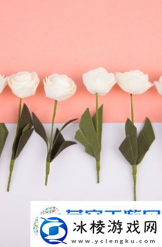 深夜e成品视频免费观看-深夜e成品视频免费观看深夜精品版v2.6.7