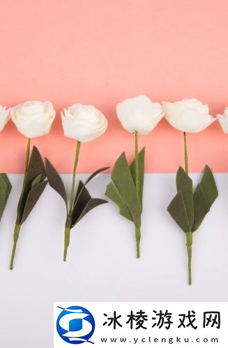 伊甸国2024直达无跳转剧情创新版